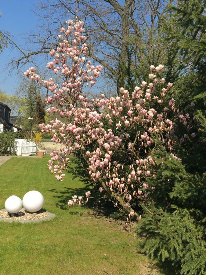 Hotel Havel Lodge Berlin Luaran gambar